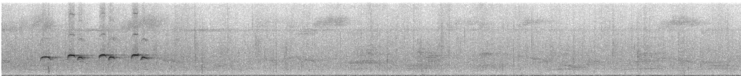 Willis's Antbird - ML294910