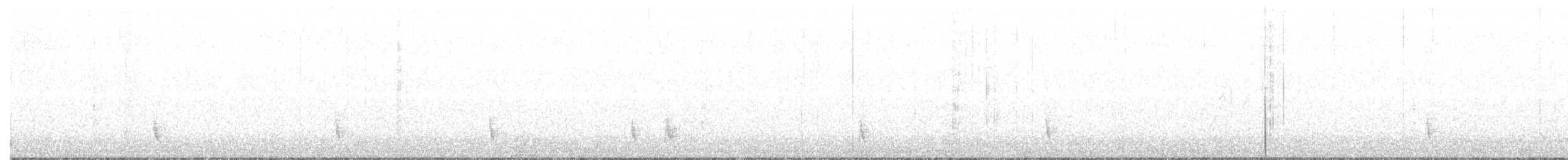 Hermit Thrush - ML294962521