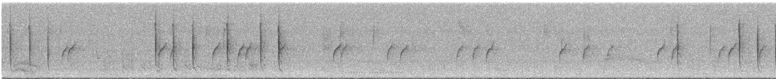 Colibri hirondelle - ML294991