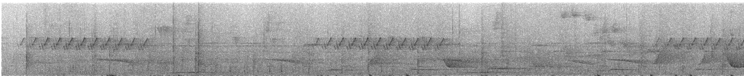 Troglodyte denté - ML295023