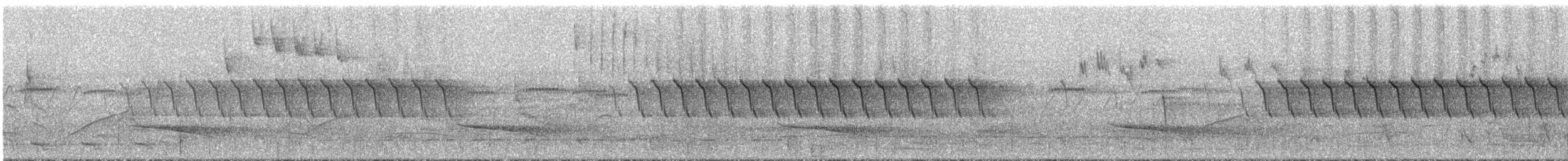 Troglodyte denté - ML295030