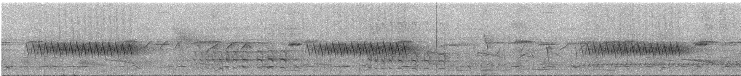 Troglodyte denté - ML295037