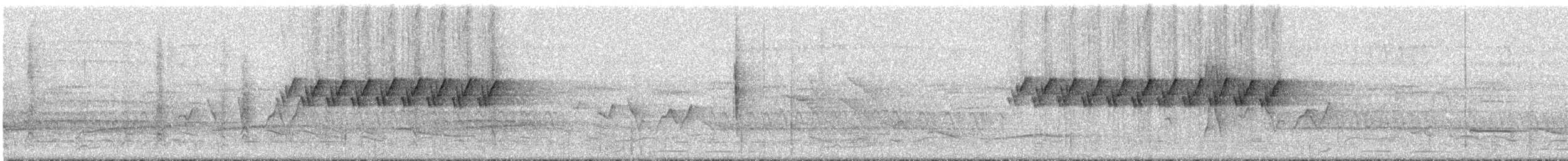 Troglodyte denté - ML295038