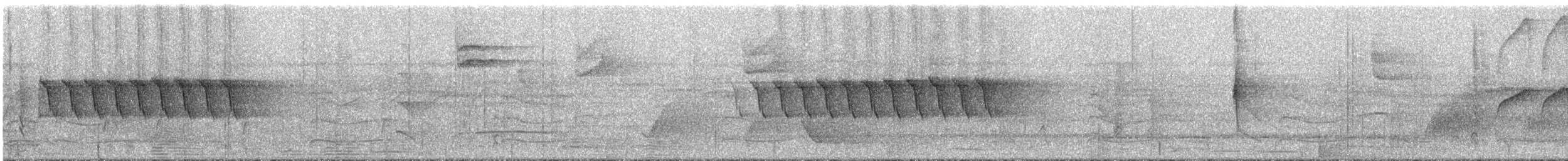 Troglodyte denté - ML295040