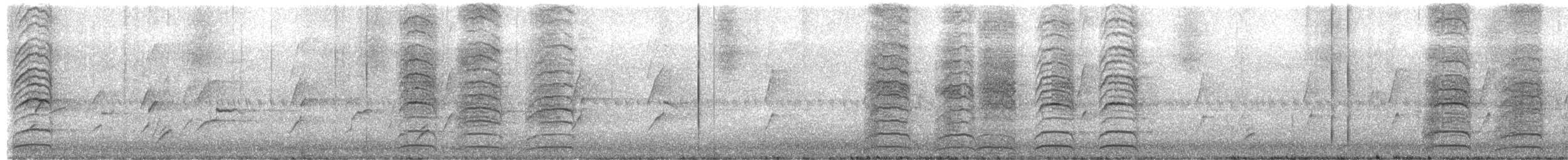 Méliphage à oreillons bleus (groupe cyanotis) - ML295086471