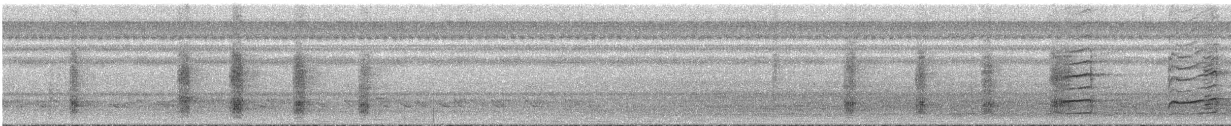 arassari červenokrký - ML295098