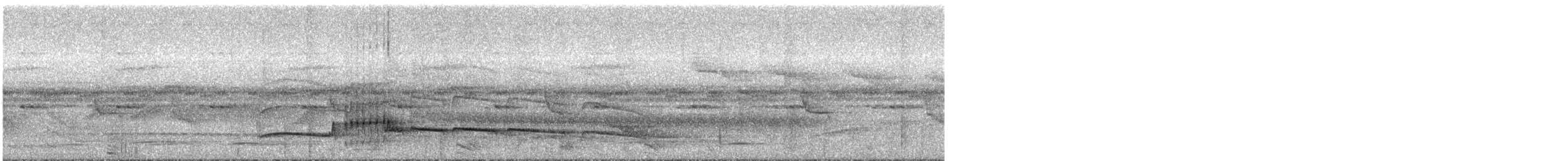 Тиран-плоскодзьоб темнохвостий - ML295105