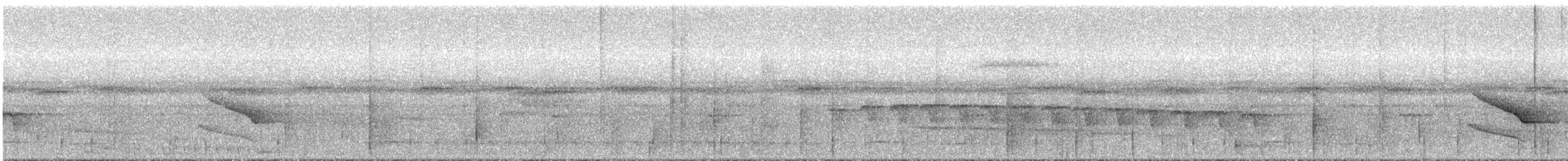 Band-tailed Manakin - ML295112