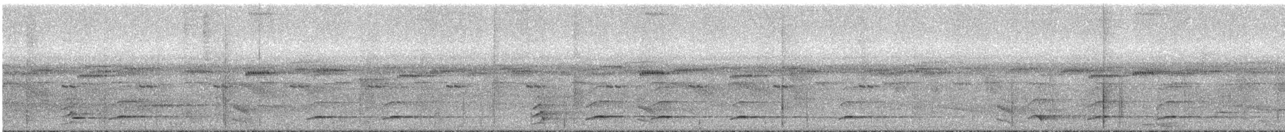 シロムネオオハシ（tucanus） - ML295125