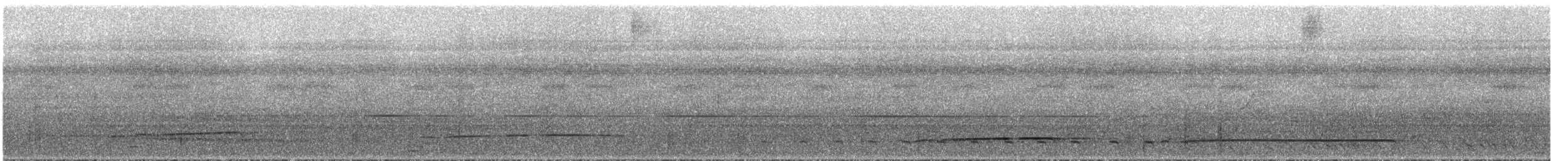 Лінивка-смугохвіст білогорла - ML295144