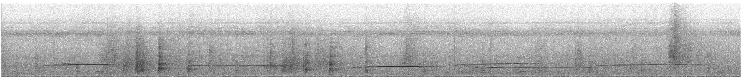 Лінивка-смугохвіст білогорла - ML295146