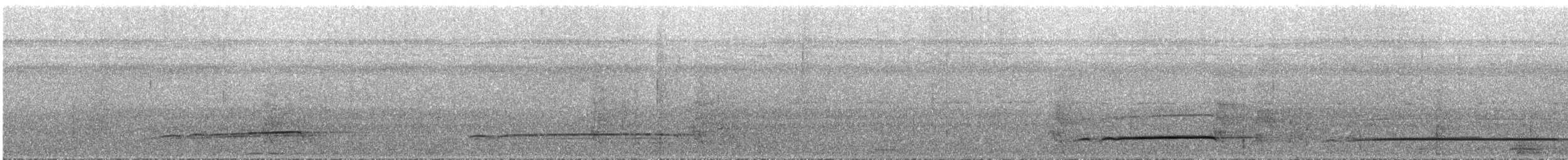 Лінивка-смугохвіст білогорла - ML295147
