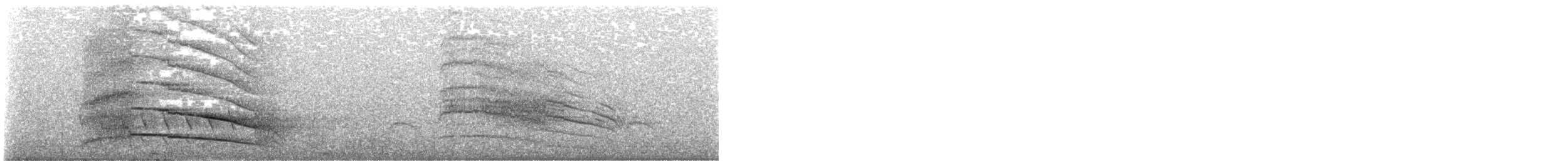 チマンゴカラカラ - ML295182321