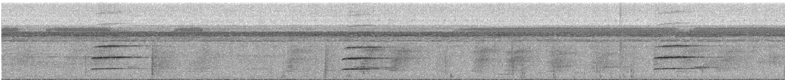 Белобрюхий лорито - ML295212