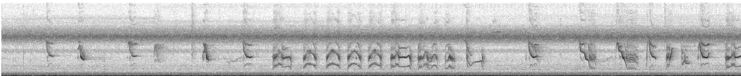 Рисоїд нікарагуанський - ML295241901