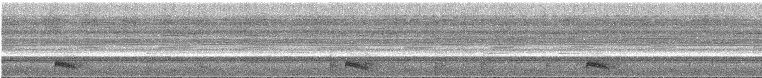 Trauernachtschwalbe - ML295243