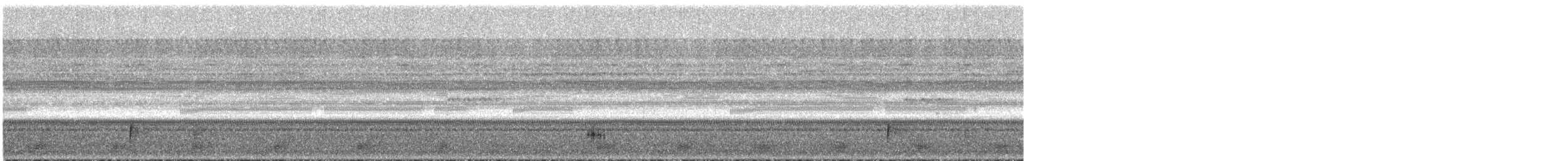 Trauernachtschwalbe - ML295244