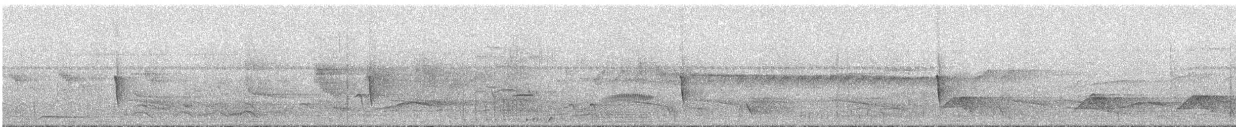 Тиран-малюк гвіанський - ML295267