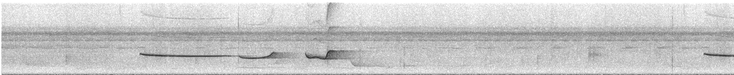 Дроздовая сельвиния [группа turdina] - ML295278