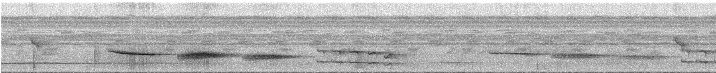 Tropfenmantel-Ameisenvogel - ML295299