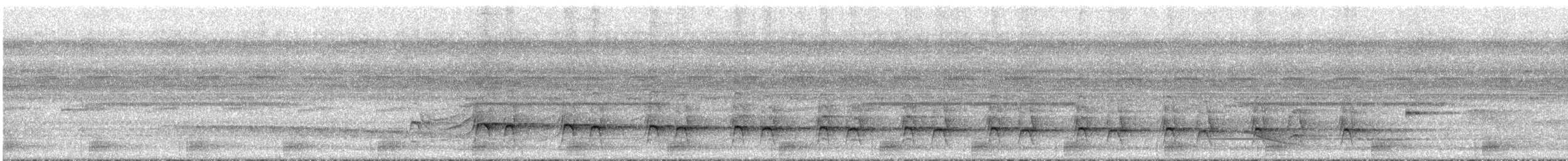 meiseltreløper (orenocensis gr.) - ML295305