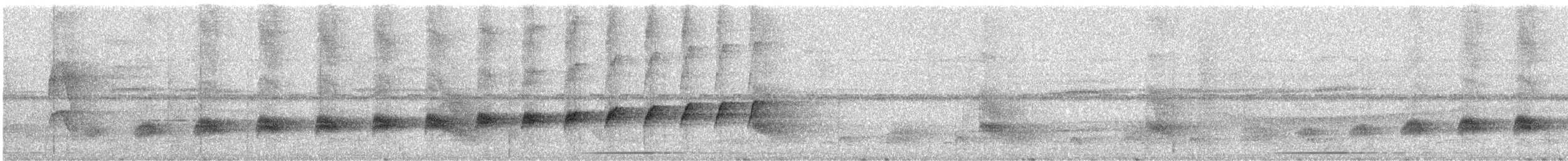 Bauchflecken-Ameisenvogel - ML295313