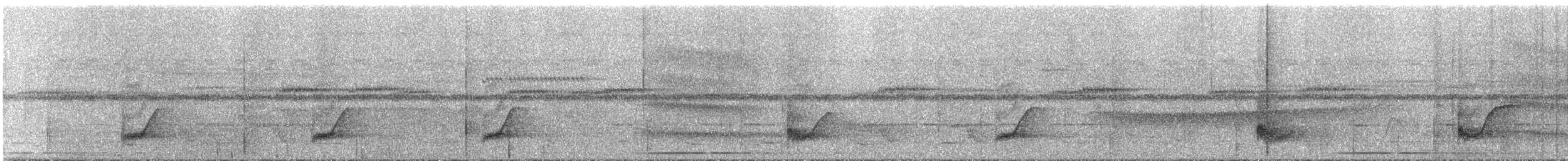 Bauchflecken-Ameisenvogel - ML295315