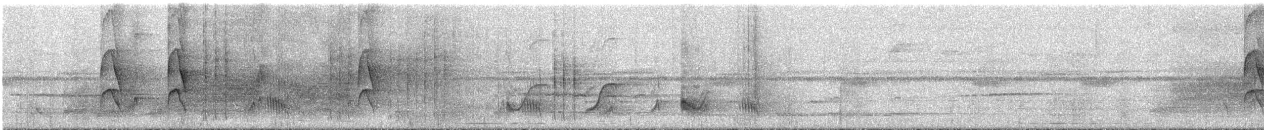 Bauchflecken-Ameisenvogel - ML295319