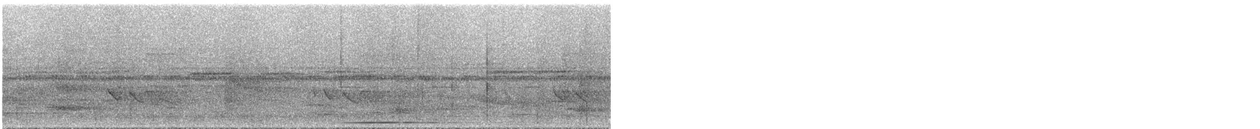 Тиран-малюк гвіанський - ML295320