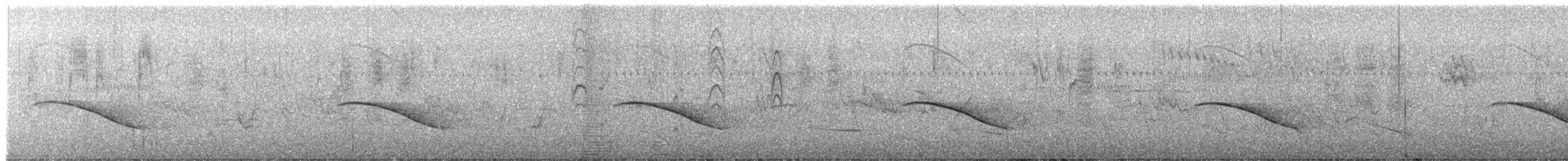 Horsfield's Bronze-Cuckoo - ML295329741