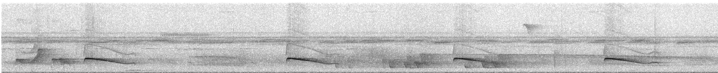 Dusky-tailed Flatbill - ML295339