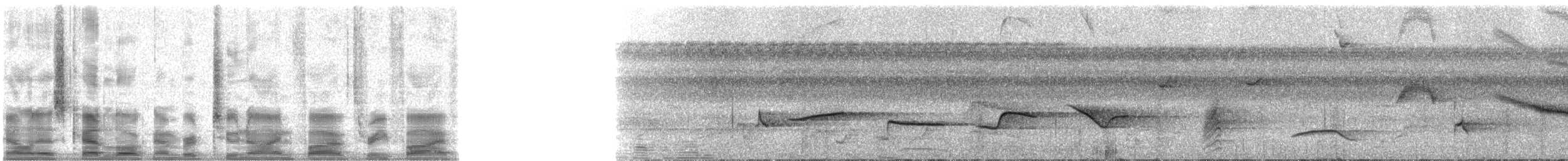 Oriole à épaulettes (cayanensis) - ML29535