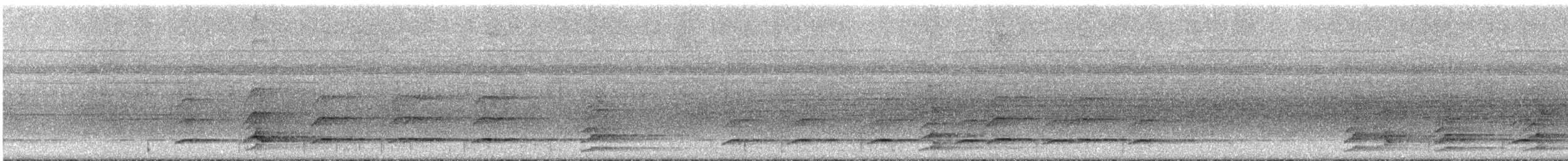 シロムネオオハシ（tucanus） - ML295411