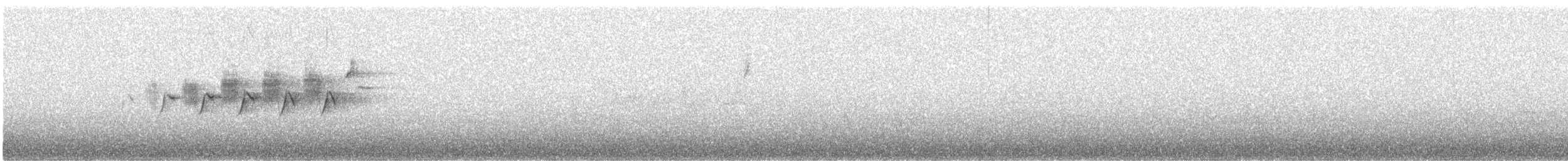 Hermit Warbler - ML29542621