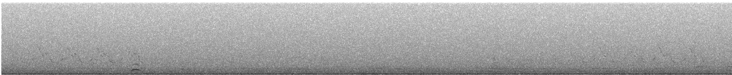 Гагара полярна - ML295457491