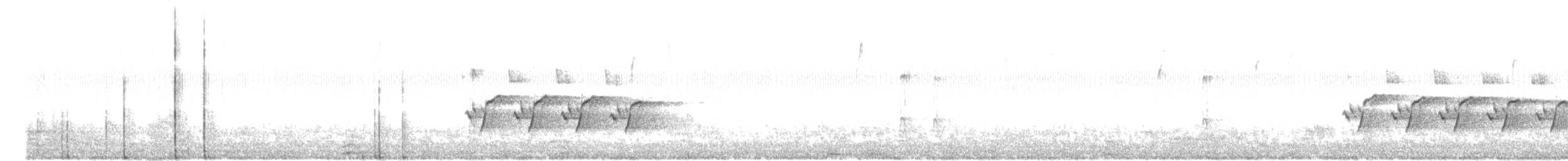 Каролинский крапивник - ML295501281