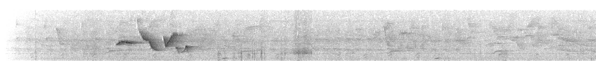 Spot-breasted Wren - ML295528521