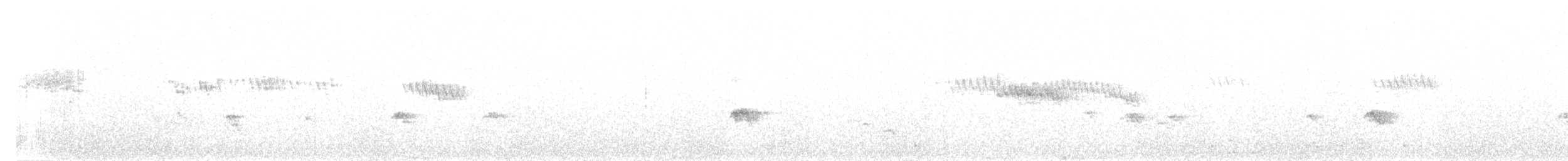 sidensvans - ML295541001