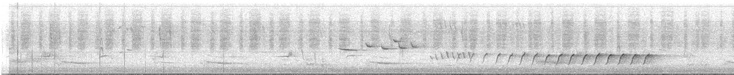 Королаз плямистобокий [група leucophaea] - ML295619601