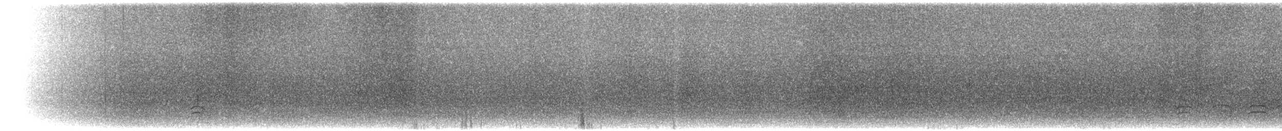 Little Penguin - ML295661201