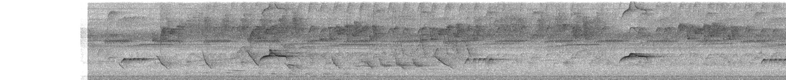 Piratic Flycatcher - ML295676551