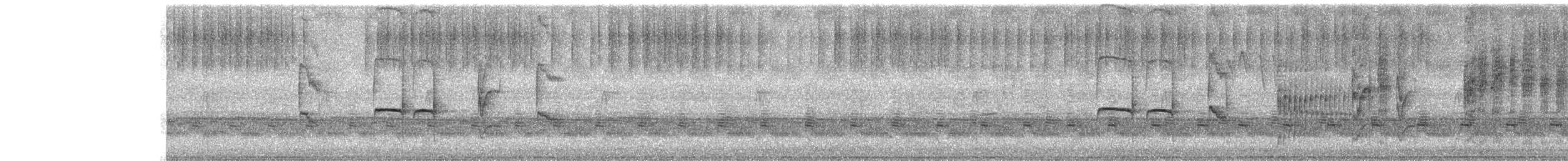 Southern Beardless-Tyrannulet - ML295688201
