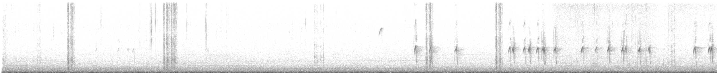 "Шишкар ялиновий (Northeastern, або тип 12)" - ML295711771
