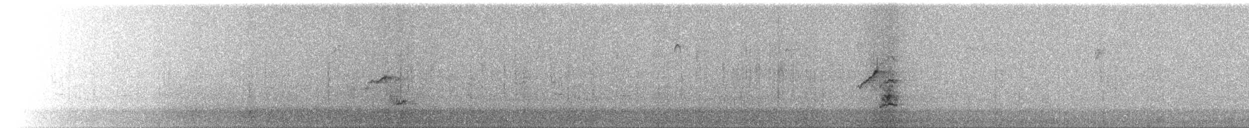 jay sp. - ML295754641