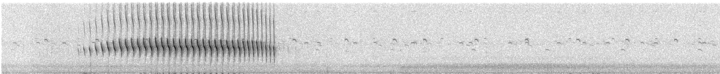Long-tailed Cinclodes - ML295827