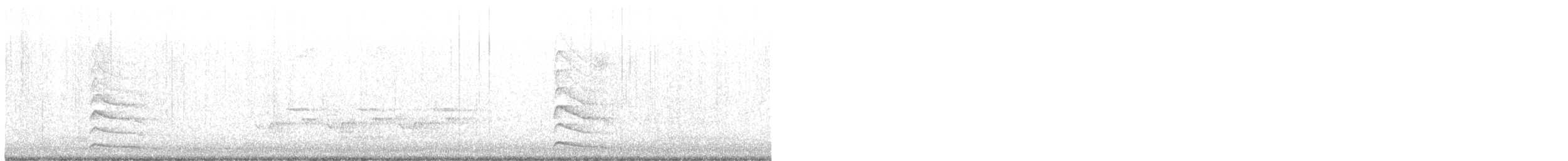 Pic maculé - ML295828421