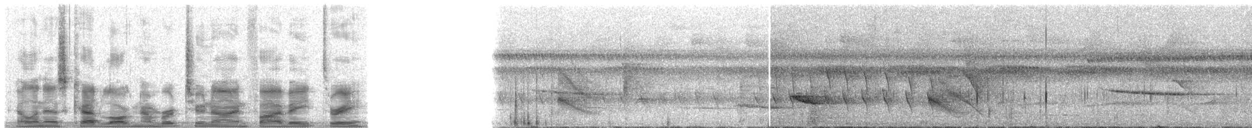 svarthakemaurvarsler - ML29583