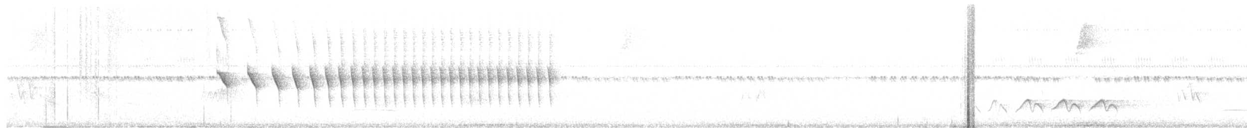 Dusky-tailed Antbird - ML295846001