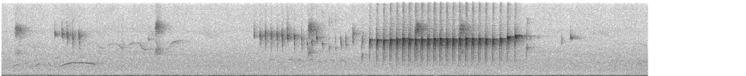 Anabate à bec fin - ML295856