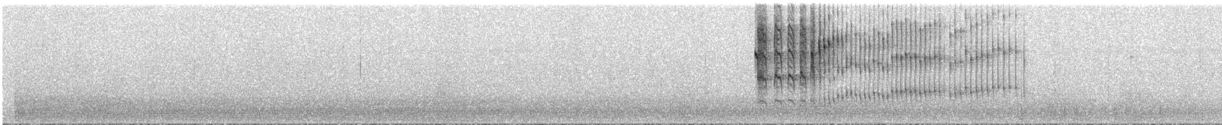 Isabellstreifen-Meisenschlüpfer - ML295884